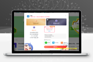 子比主题美化-开通会员购买弹窗增加背景（仿B站）-大咖学院