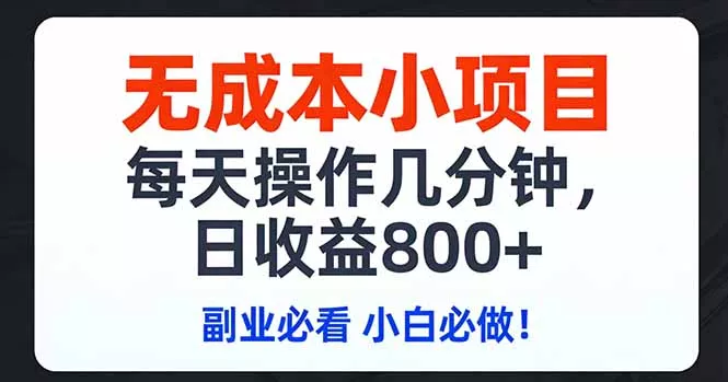 无成本小项目,每天操作几分钟,日收益800+ 副业必看 小白必做！ - 项目资源网