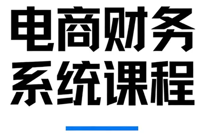 郑老师·电商财务系统课程 郑老师·电商财务系统课程