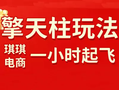 琪琪电商·拼多多擎天柱玩法(更新2026) 琪琪电商·拼多多擎天柱玩法(更新2026)