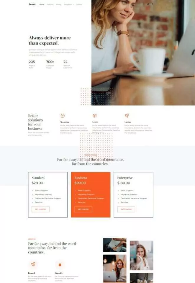 Bootstrap商务咨询服务公司网站HTML模板 - 项目资源网