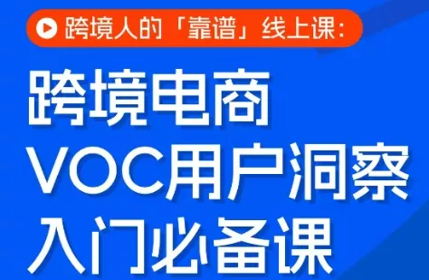 跨境电商VOC用户洞察入门必备课 - 项目资源网