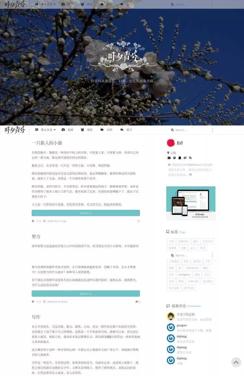 wordpress极简优秀的博客主题–ErlSimpleV1.5主题 - 项目资源网