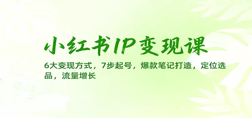 小红书IP变现课：6大变现方式，7步起号，爆款笔记打造，定位选品，流量增长 - 项目资源网